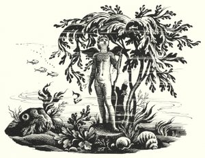 Hans Christian Andersen : La petite sirène