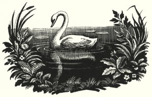Hans Christian Andersen : Le Vilain Petit Canard