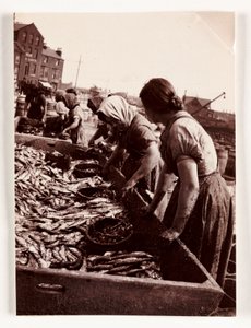 Pêche, femmes pêcheuses triant le poisson, port de Whitby, North Yorkshire, vers 1905