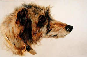 Tête de chien - Richard Ansdell