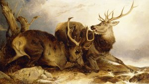 Le Combat, 1847