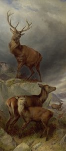 La forêt de cerfs - Richard Ansdell