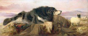 Le Chien du Berger - Richard Ansdell