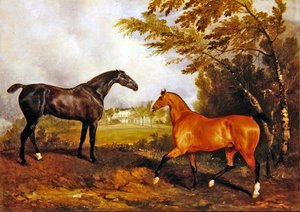 Scène équestre - Richard Barrett Davis