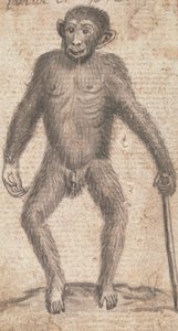 Singes (un des trois sur une monture) - Richard Brookes