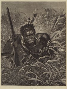 Un éclaireur zoulou