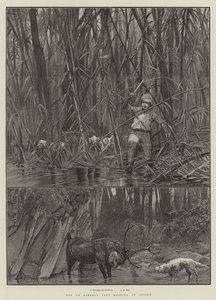 Chasse à l