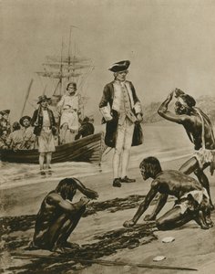 Comment le capitaine Cook a été accueilli en Tasmanie - Richard Caton Woodville junior
