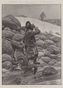 Sport dans les hautes terres asiatiques - Richard Caton Woodville junior