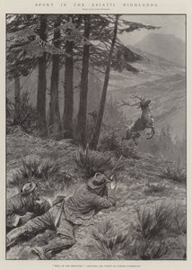 Sport dans les hauts plateaux asiatiques - Richard Caton Woodville junior