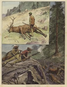 Chasse au wapiti en Amérique du Nord