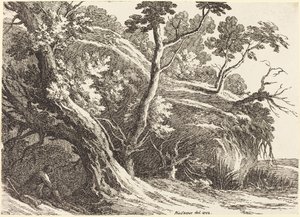 Paysage avec grands arbres - Richard Cooper II
