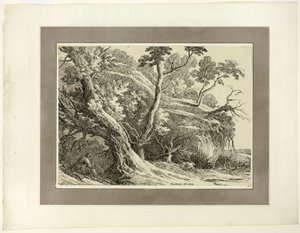 Paysage avec de grands arbres, extrait du premier numéro de Specimens of Polyautography - Richard Cooper II