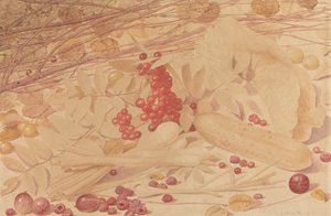 Nature morte avec groseilles, framboises, groseilles rouges, oignons de printemps, cornichon et feuillage - Richard Dadd