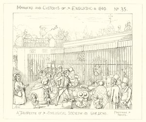 1849, Une perspective des jardins de la Société zoologique - Richard Doyle