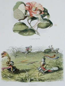 Un papillon dansant, et Le Tournoi, illustrations de 