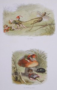 Les elfes cruels et le roi des elfes endormi, illustrations de 