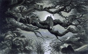 Fées, nymphes et elfes se reposant au clair de lune sur une branche? Illustration de "In Fairy land. A series of pictures from the elf - world" par Richard Doyle 1869-1870