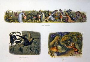 Au pays des fées - Richard Doyle
