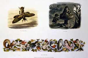 Au pays des fées
