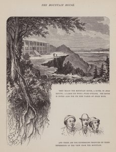 Page du Tour Américain de Messieurs Brown, Jones et Robinson (gravure) - Richard Doyle
