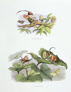 Pauvre petit oiseau taquiné, et Cour assise, illustrations de 