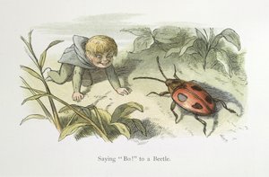 Dire Bo! à un scarabée - Richard Doyle