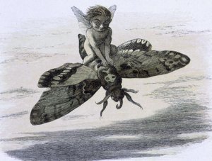 Un elfe chevauchant un papillon. Illustration de Richard Doyle tirée de "In Fairy land. A series of pictures from the elf - world" accompagnée d