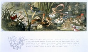 Nénuphars et fées de l