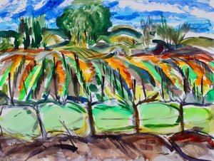 Vignobles d