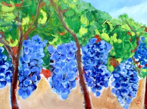 Raisins sur la vigne