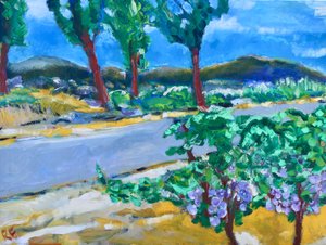 Vignoble en bord de route, Napa