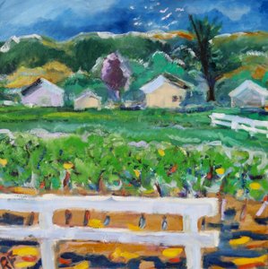 La clôture brisée, Napa, 2019