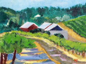 Vignoble et route