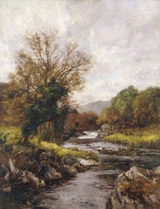 Le ruisseau de la truite