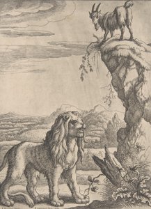 Le lion et le chevreau, d