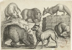 Deux ours, deux loups et deux renards