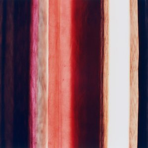 Rayure XI, 2005