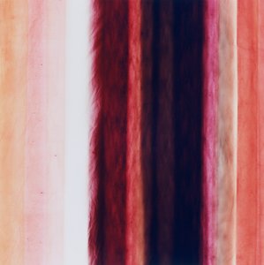Rayure X, 2005