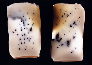Sans titre (double étude)
