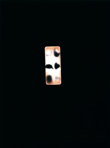 Sans titre, 2004