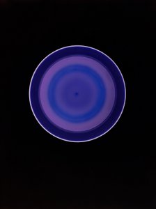 Sans titre, 2004 - Richard Green