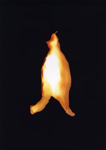 Sans titre, 2004