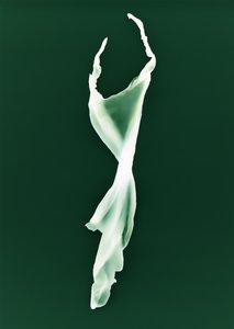Sans titre, 2004