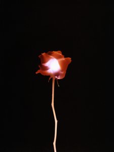 Sans titre, 2007