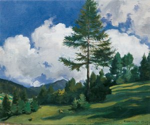 Motif près de Toblach