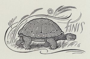 Le Lièvre et la Tortue - Richard Heighway