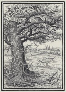 Le renard et le chat - Richard Heighway