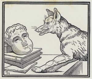 Le Renard et le masque - Richard Heighway