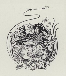 Le lièvre et la tortue - Richard Heighway